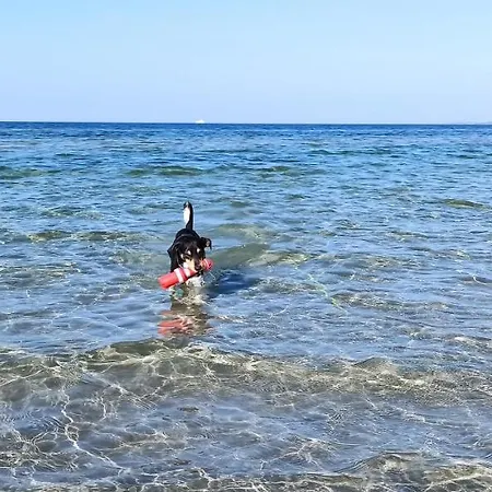 木屋 Ostseequelle Hohenkirchen (Nordwestmecklenburg)