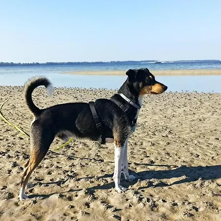 Ostseequelle 木屋 Hohenkirchen (Nordwestmecklenburg)