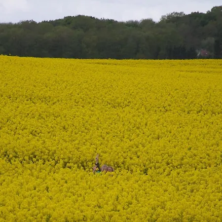 木屋 Ostseequelle Hohenkirchen (Nordwestmecklenburg)