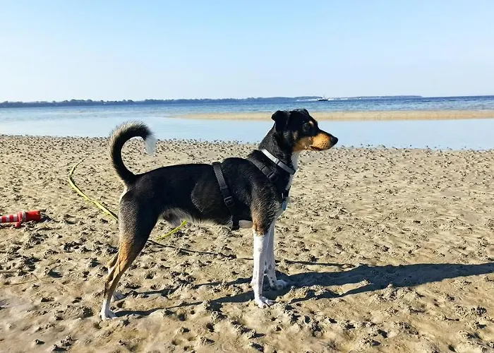 Ostseequelle Domek alpejski Hohenkirchen (Nordwestmecklenburg)