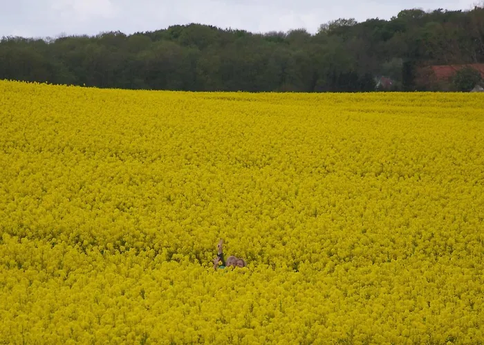 Domek alpejski Ostseequelle Hohenkirchen (Nordwestmecklenburg)